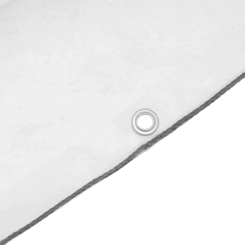 Tarp Trasparente 2 x 1,5 m PE 42038937