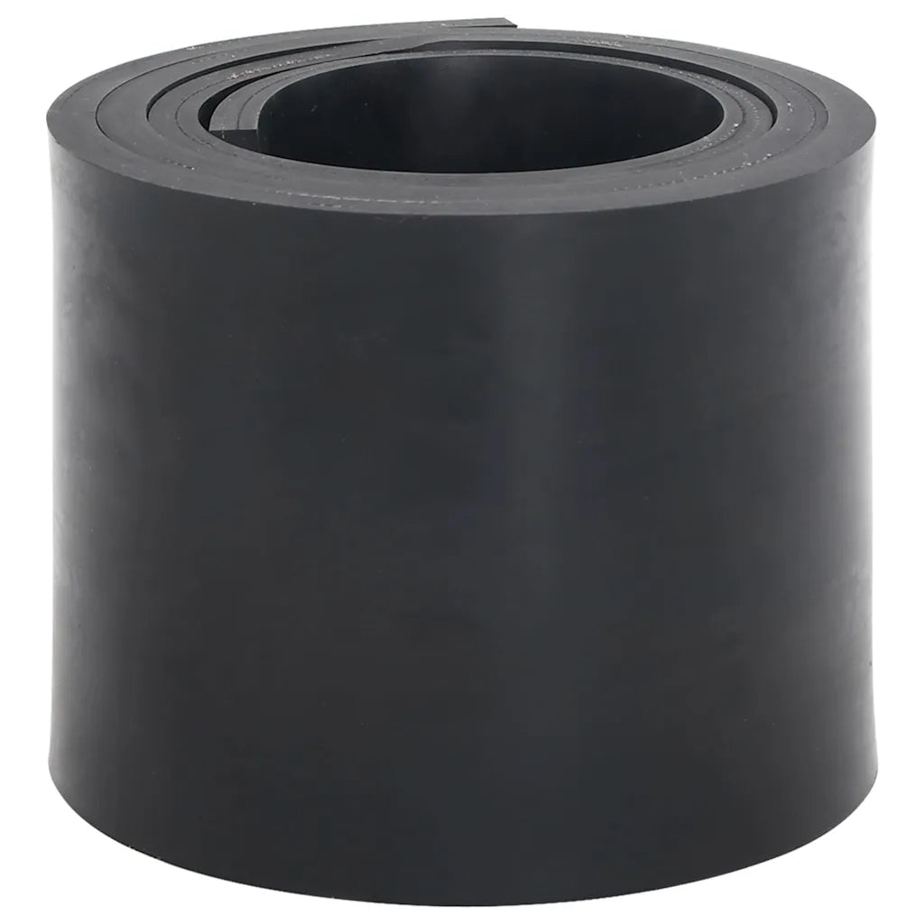 Bordo in Gomma per Spazzaneve Nero 180x15x1 cm 4103529