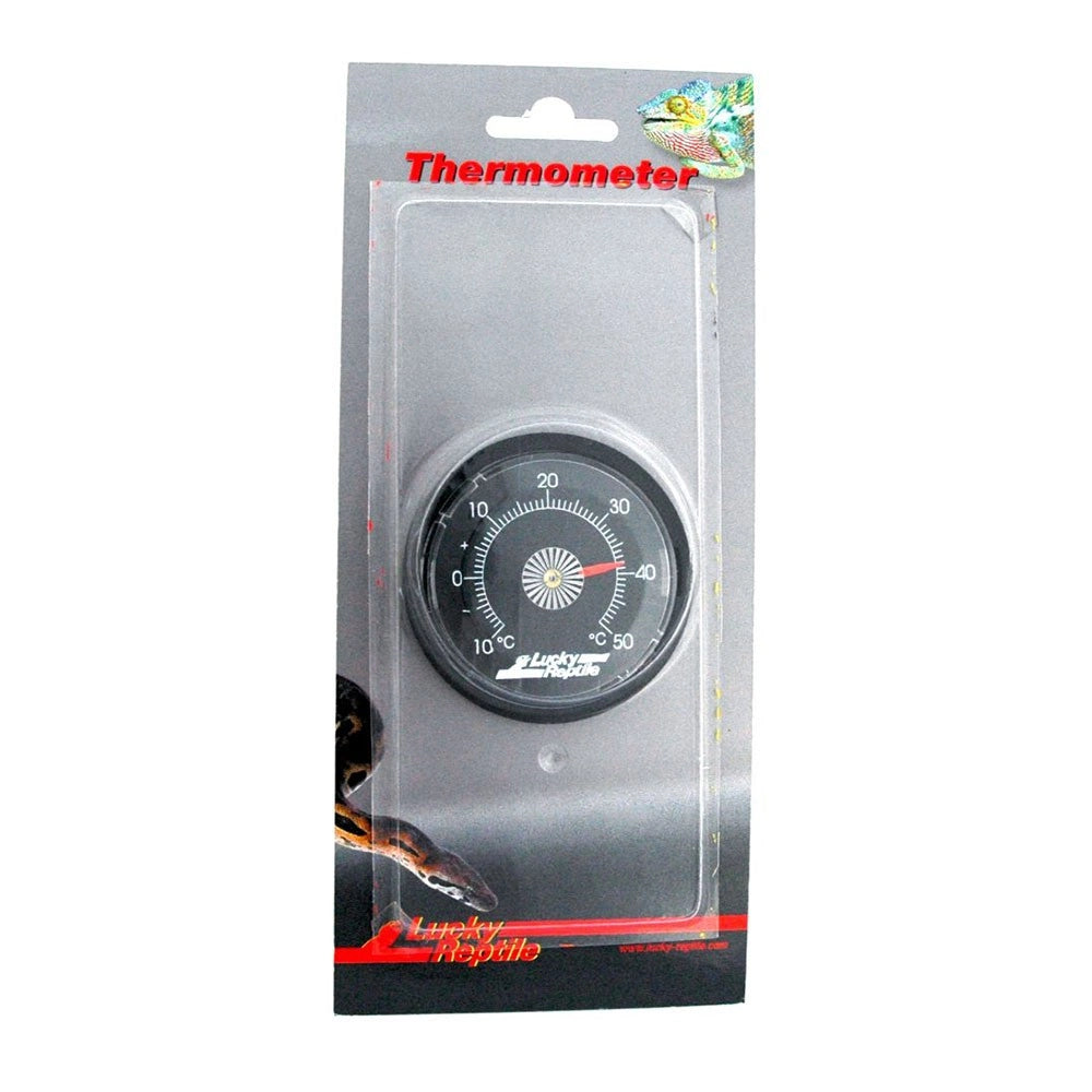Lucky Reptile Termometro Adesivo interno