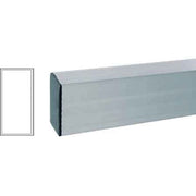 STADIA PER EDILIZIA 100x25 2 mt