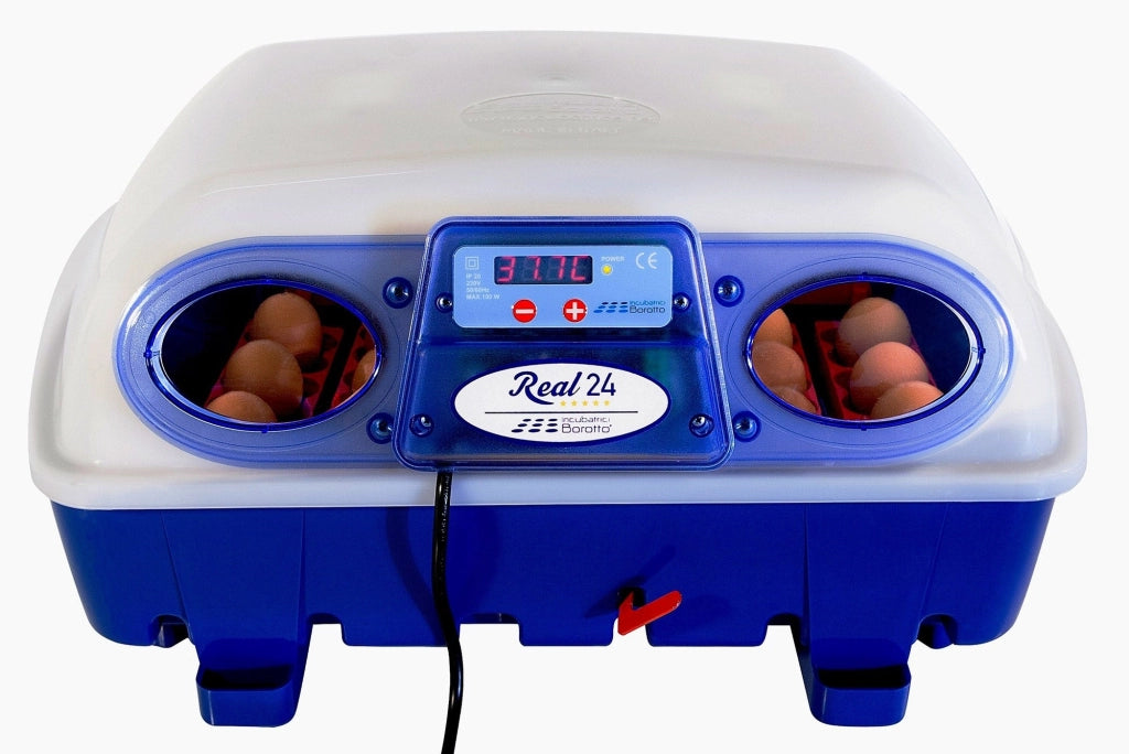 Incubatrice per Uova Semi Automatica Professionale Borotto Real 24