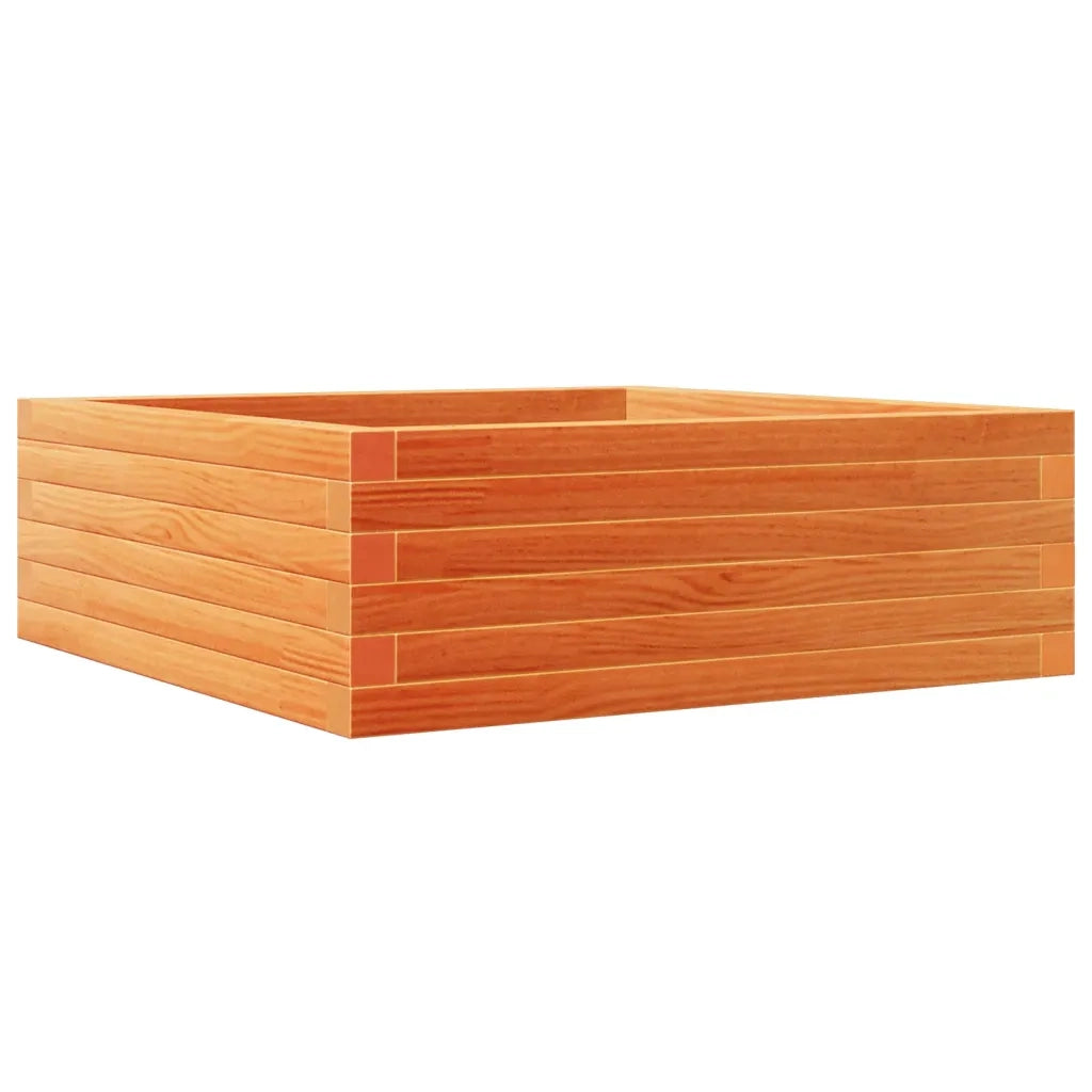 Fioriera | Cassetta per fiori | Vaso Giardino Marrone Cera 70x70x23 cm Legno Massello Pino