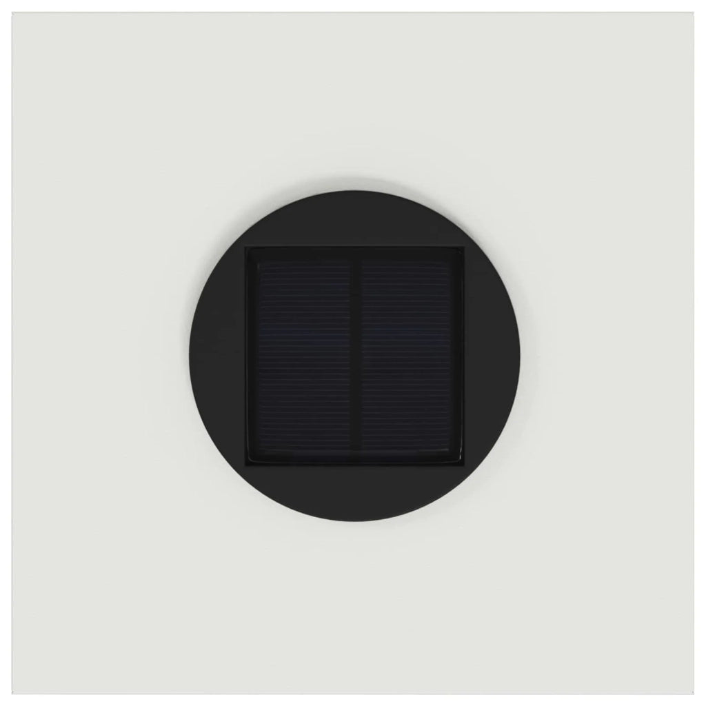 Lucina LED Solare da Percorso 2 pcs Bianco 879710
