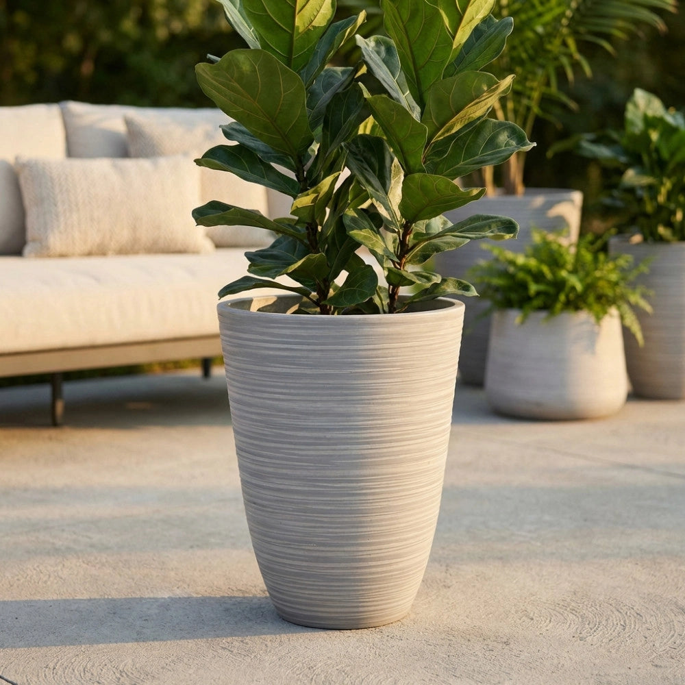 VASO GRANDE ANEMONE