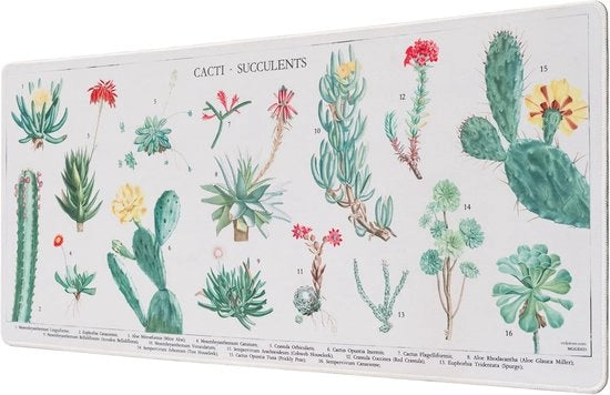 Buste da Gioco per Cactus XXL - Sfondo da Ufficio - Dimensione Grande