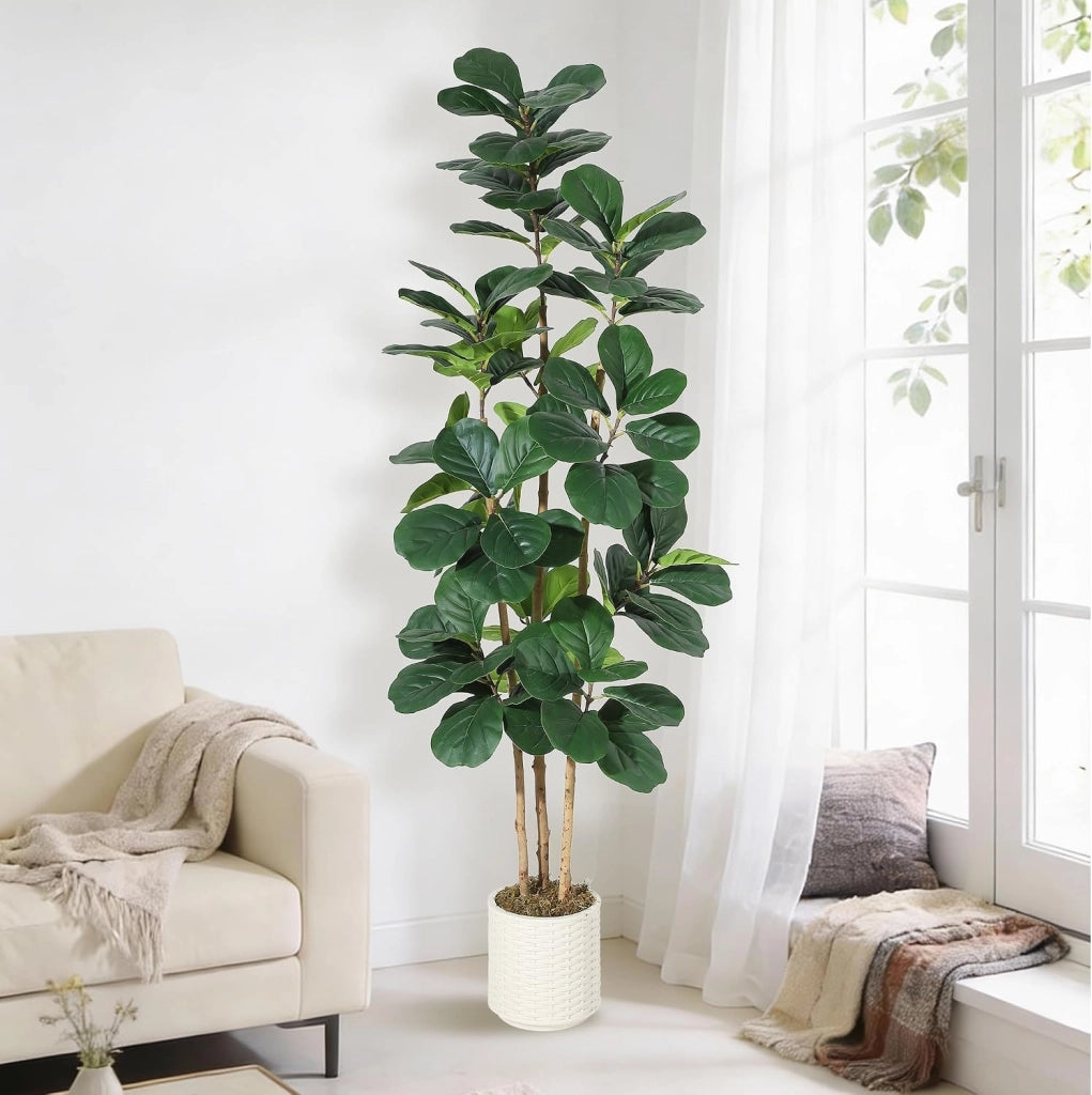 Ficus Lyrata Artificiale 180 cm con Tronco Naturale e Vaso Bianco Lucido