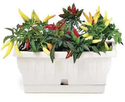 Fioriera natura cm.40 diversi colori Colore: TERRACOTTA