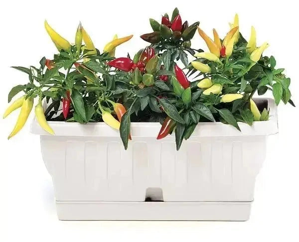Fioriera natura cm.40 diversi colori Colore: TERRACOTTA