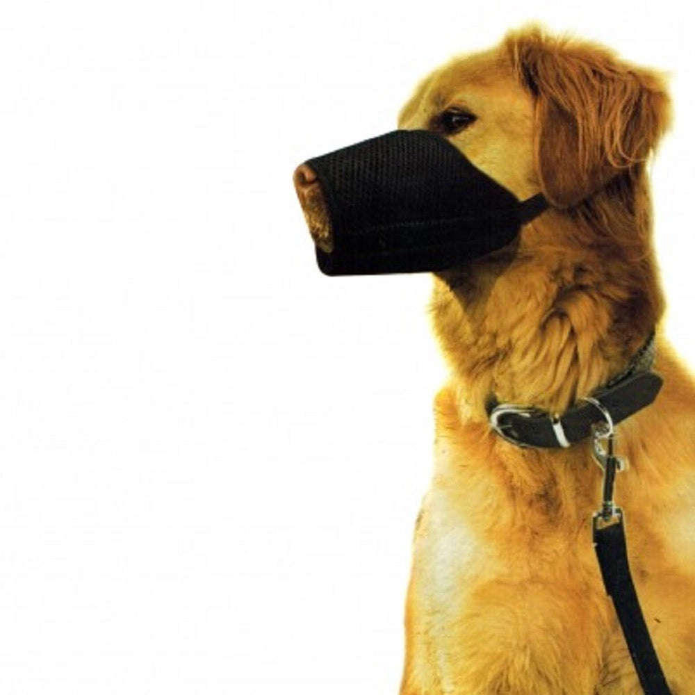 Trade Shop - Museruola Regolabile In Nylon Nobleza Lavabile Per Sicurezza Muzzle Dog -    M