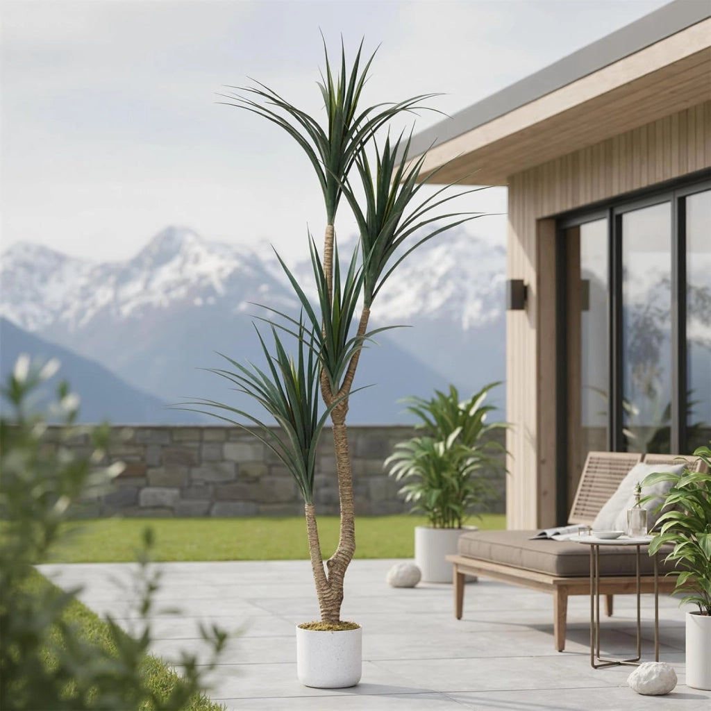 Dracena Dragon Tree Artificiale 165 cm Grande Pianta da Interno con Vaso Nero