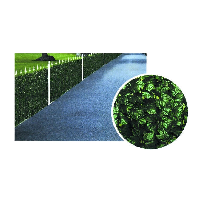Il Campo 06232 Siepe edera h 150 m 20 colore Verde