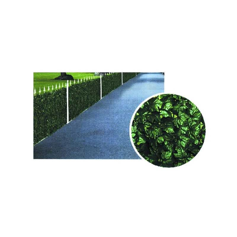 Siepe Edera h 150 m 3 Ilcampo 03474