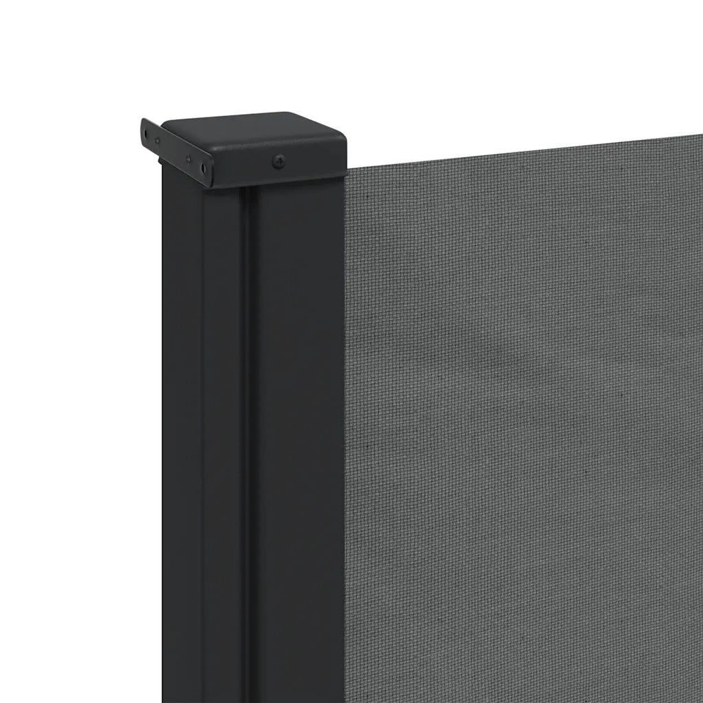 Tenda da Sole | Tenda parasole laterale retrattile antracite 100x500 cm