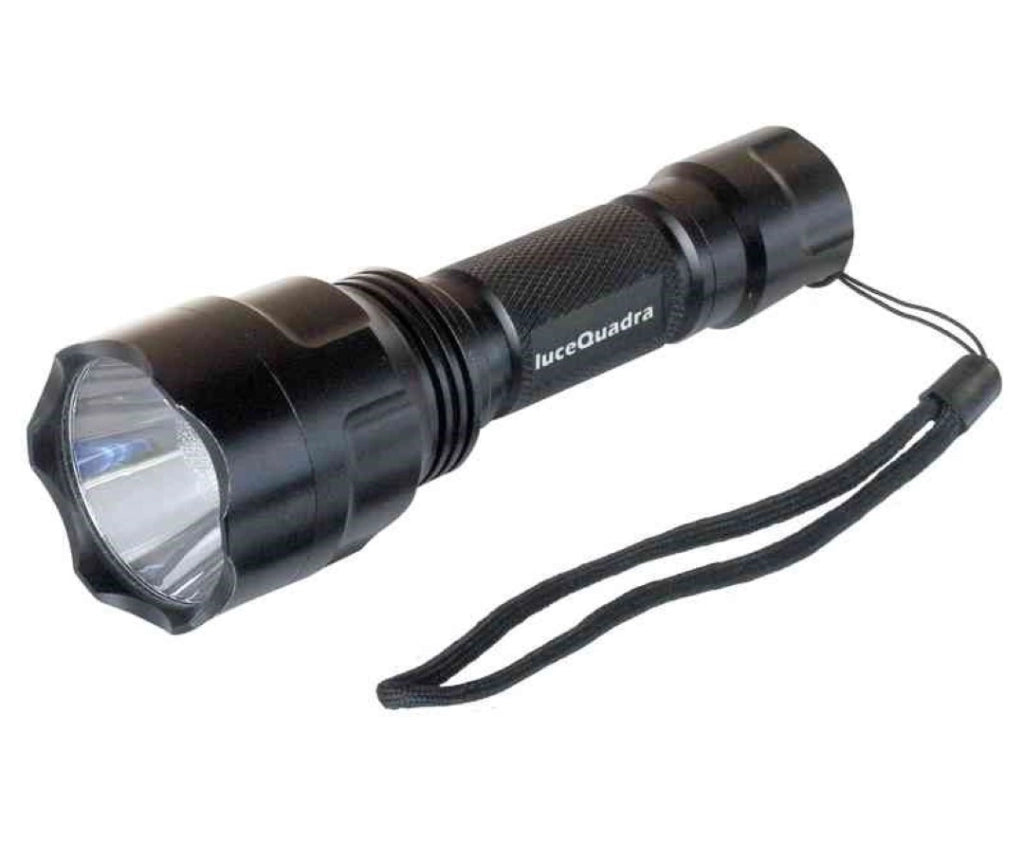 Torcia In Alluminio A Batteria Waterproof Ip65 Rex - Cfg