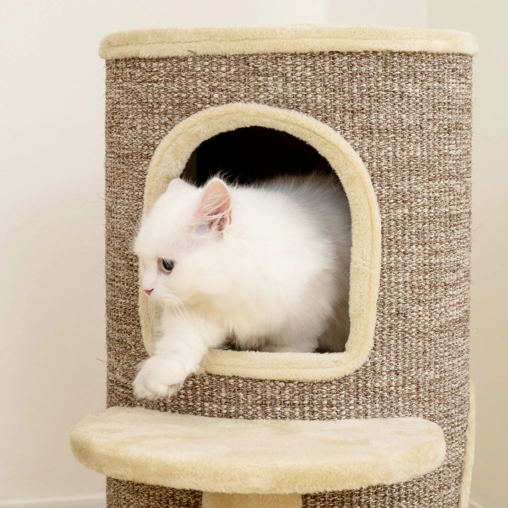 Torre per Gatti a 2 Livelli 60x60x61 cm con 2 Nascondigli Piattaforma Superficie in Sisal Beige e Marrone
