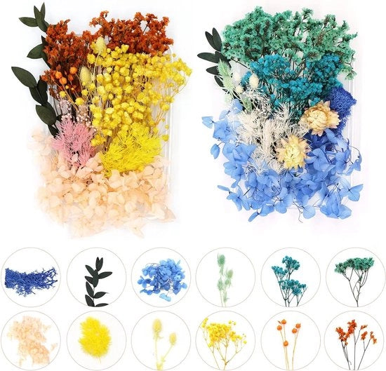 Mischia di Fiori Secchi Blu Epoxy Hars DIY Artigianato Manufatti - Set da 2 Dozzine