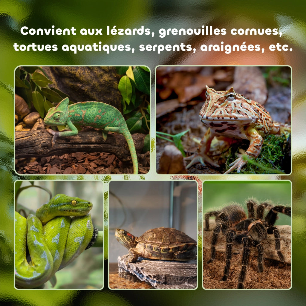 Terrario per rettili con coperchio scorrevole in rete metallica e termometro, scatola di allevamento robusta e pratica per piccoli animali