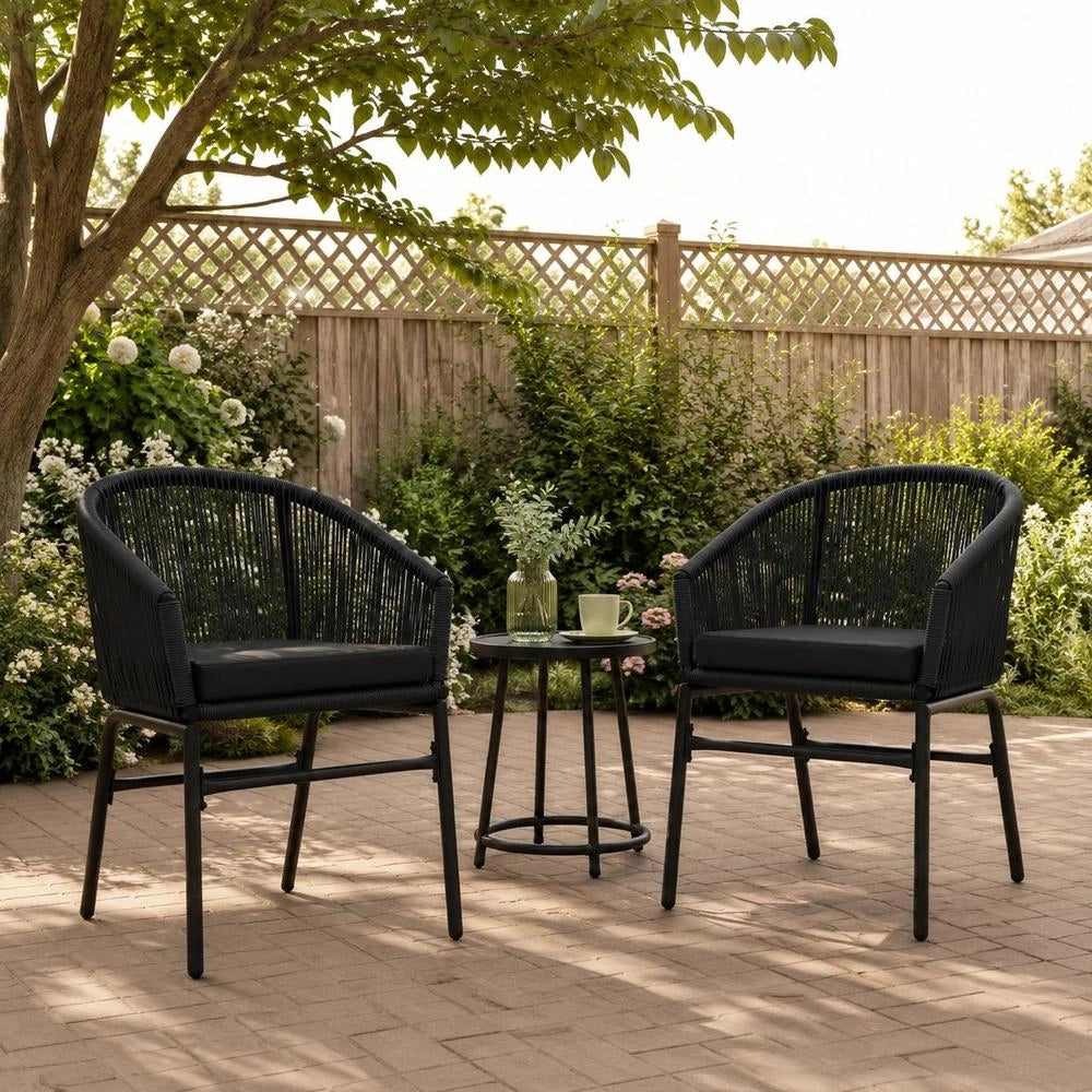 Garden Chairs, 2 Pieces, Black PE Rattan