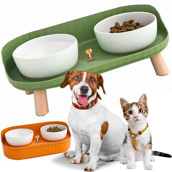 Doppio contenitore ceramico per gatto e cane - bianco e verde