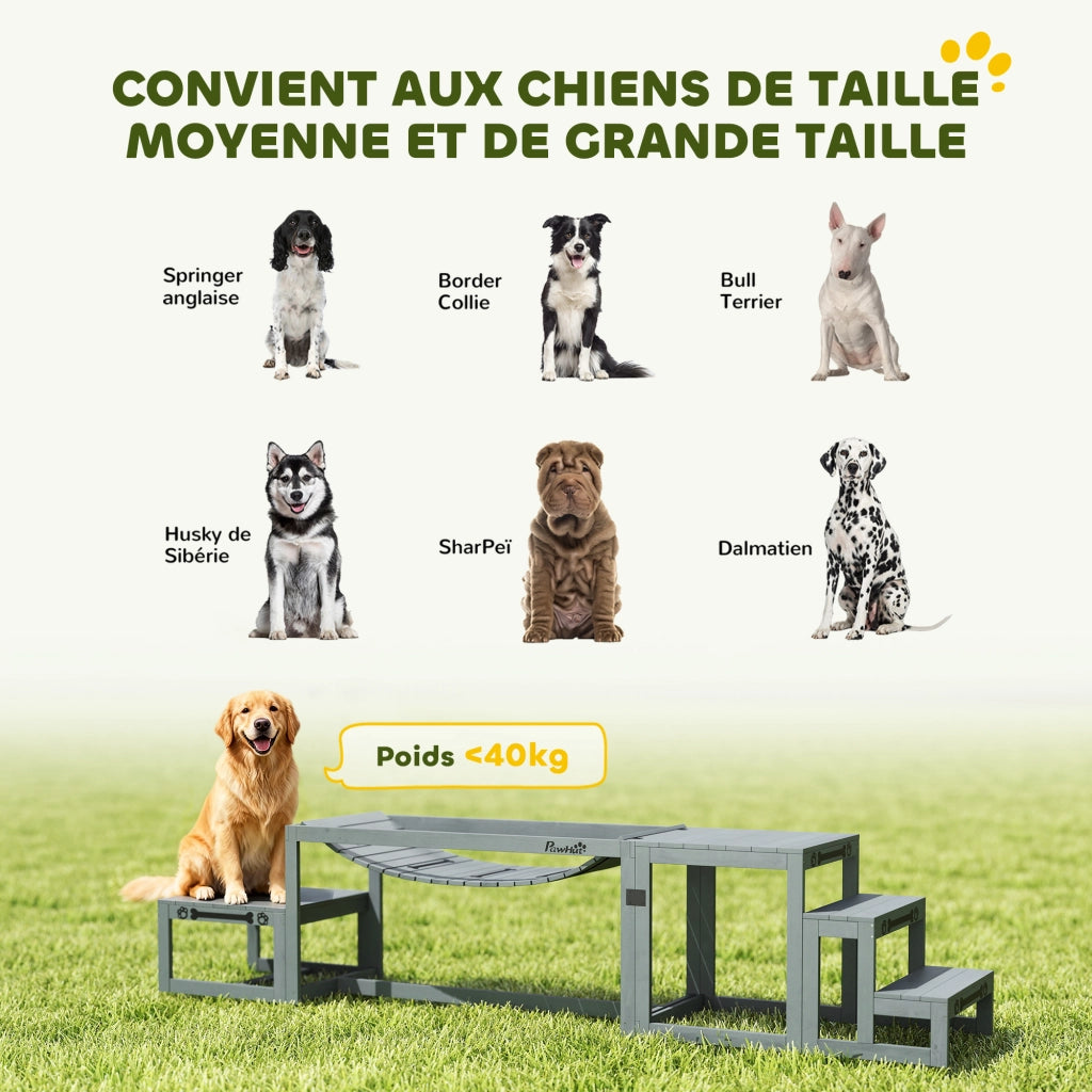 Set Agilit¨¤ Cane 3 Pezzi Legno Massello Grigio ¨C Minimal ¨C 3 Pezzi Legno Massello Grigio