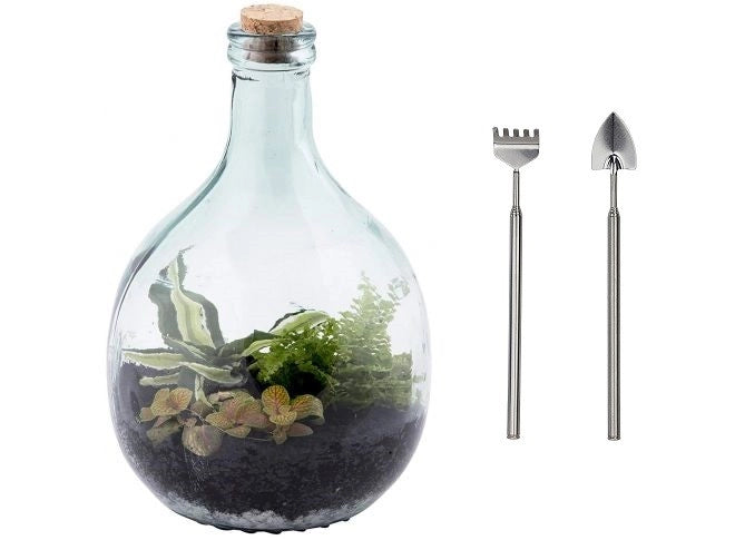 Terrario Bottle Garden 5L cm21,6x21,6x33,5h -  terrario in bottiglia di vetro con kit di manutenzione