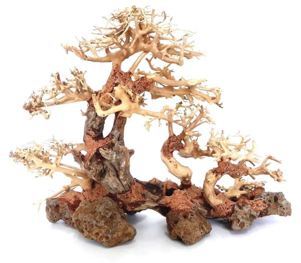 DecorLine Triple Bonsai Wood misura Large cm40x30x18h