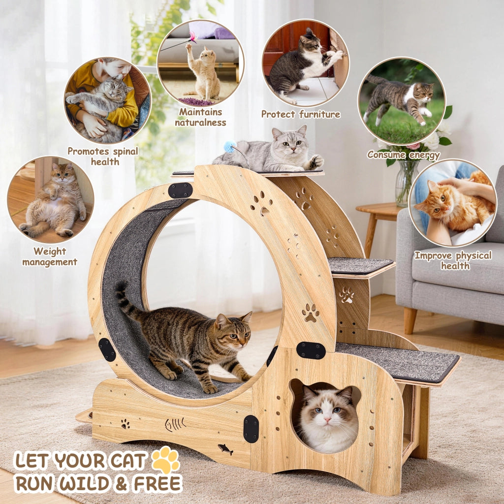 Ruota per gatti 6-in-1, grande tapis roulant silenzioso per esercizio indoor, mobile e giocattolo per gatti