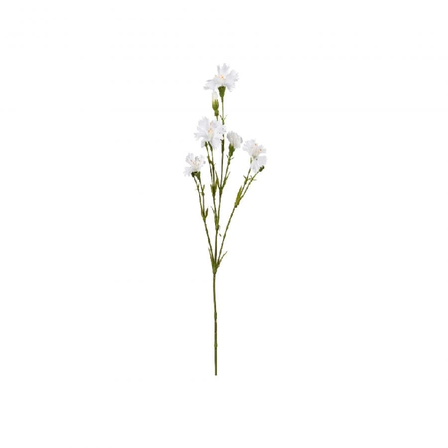 MARGHERITA 60 CM