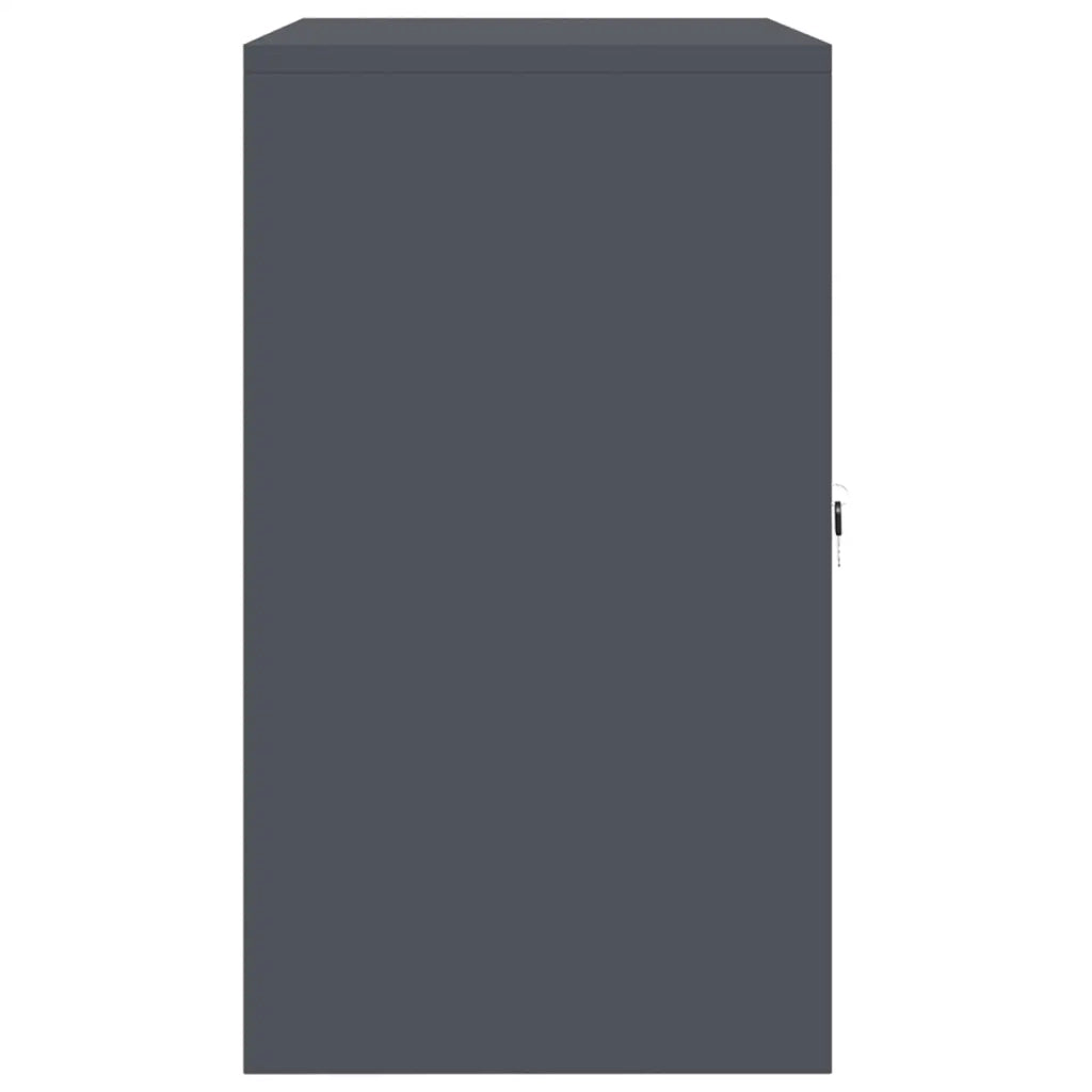 Armadio Antracite 80 x 40 x 70 cm Acciaio