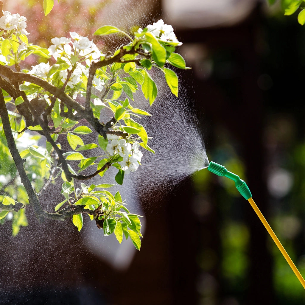 Spruzzatore a pressione manuale KADAX da 8 litri, spruzzatore da giardino per piante con lancia grande
