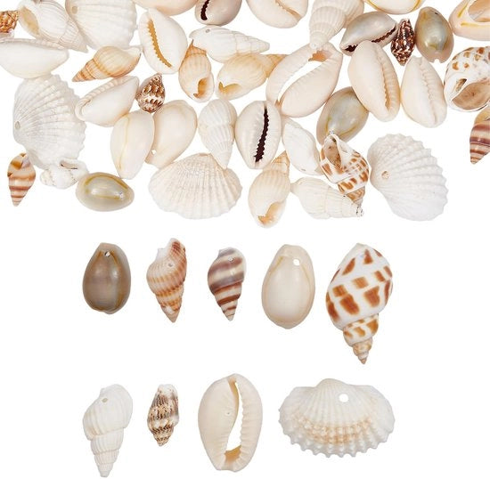 72 pezzi di orecchini naturali per gioielli e decorazioni