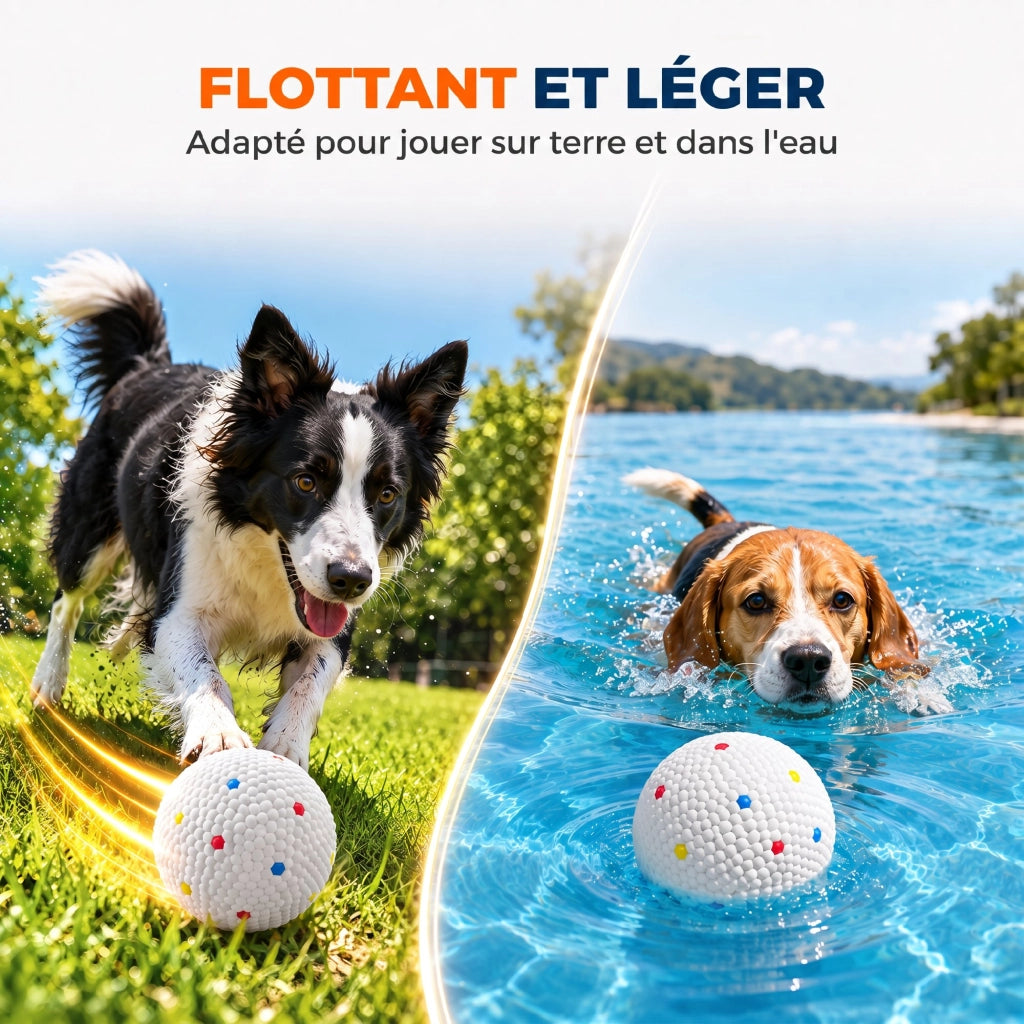 Lot de 6 Balles pour Chien en ETPU Ø58mm Blanc
