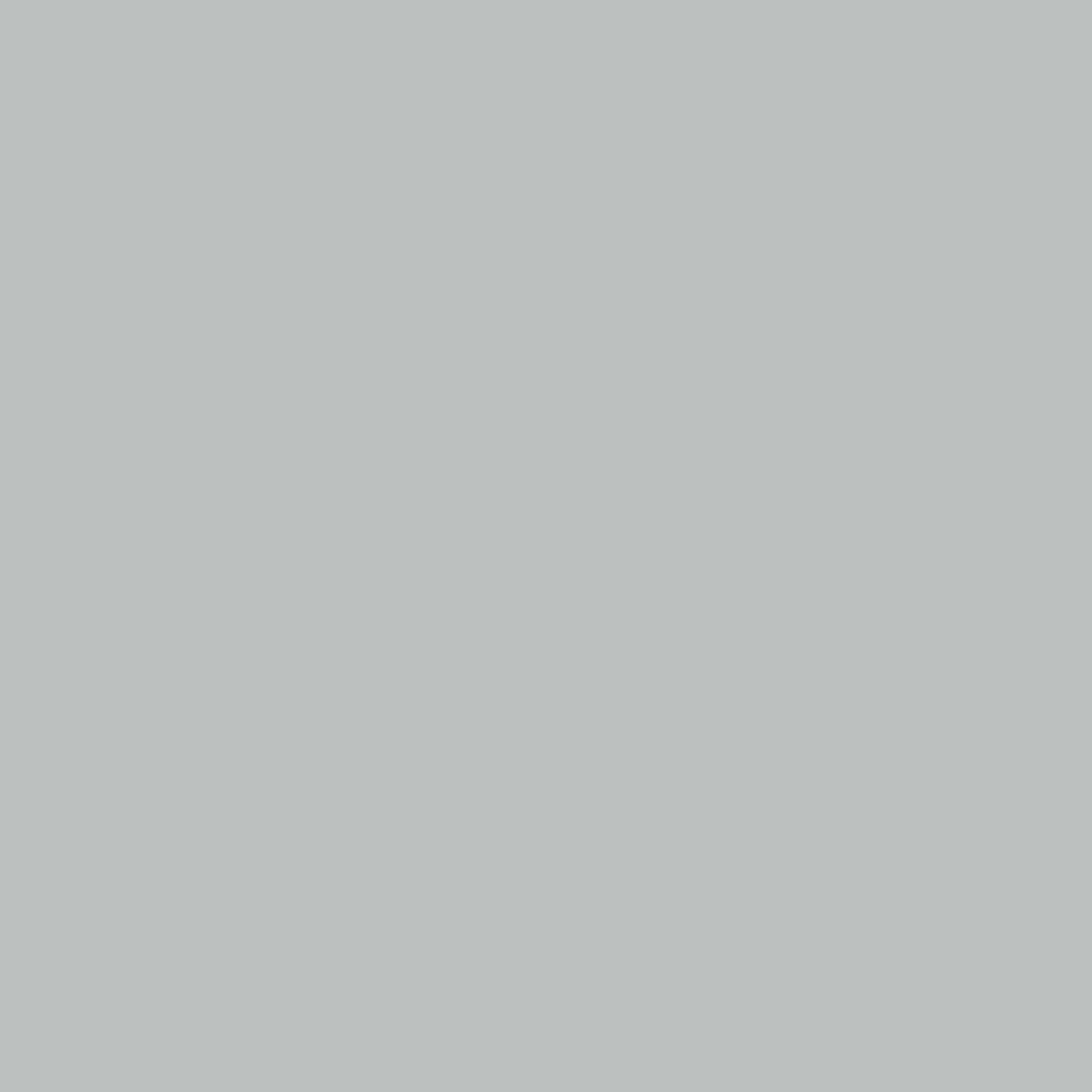 Idropittura Colorata Superlavabile per Interni HomeColor, Colore Silver, 2.5L