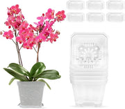 Pannelli di vaso per orchidee trasparenti con drenaggio - 6 pezzi - 10 cm