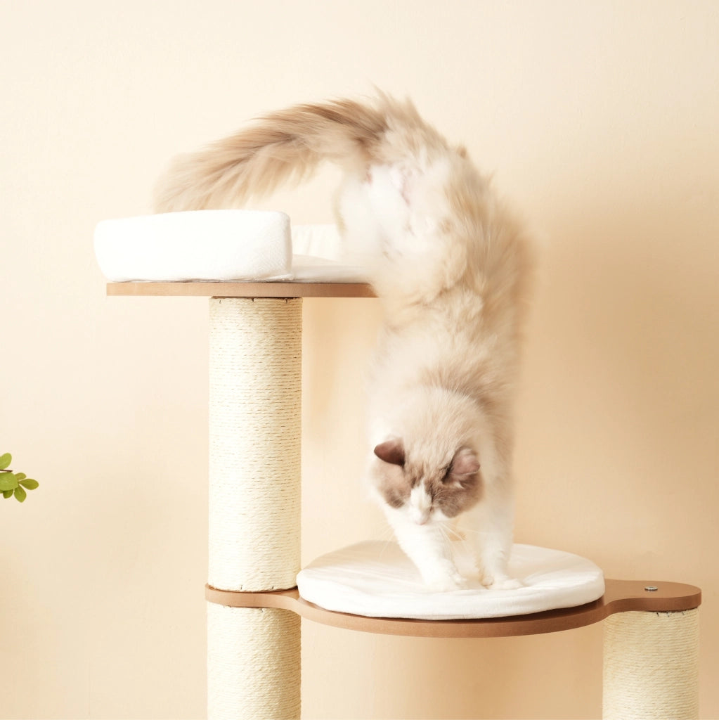 Tiragraffi per gatti 60x48x135 cm in MDF marrone e bianco con cuccia