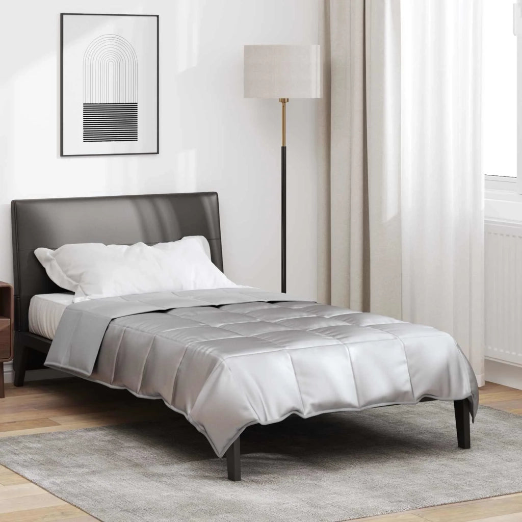 Piumone | Duvet Completo Annuale Argento 140 x 220 cm Satin e Micropile