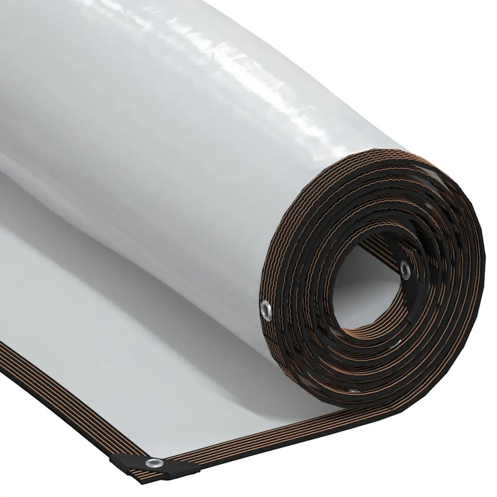 Telone Trasparente con Occhielli 2x4 m in Polietilene 4018549