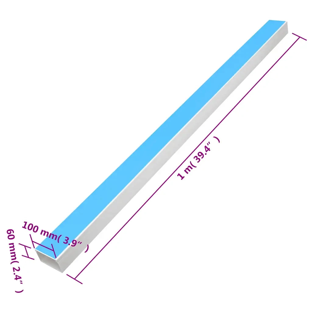 Canalina per Cavi Autoadesiva 100x60 mm 10 m in PVC CFW9967565