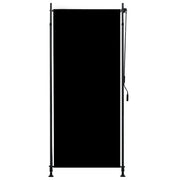Tenda a rullo | Tenda avvolgibile per Esterni 100x270 cm Antracite