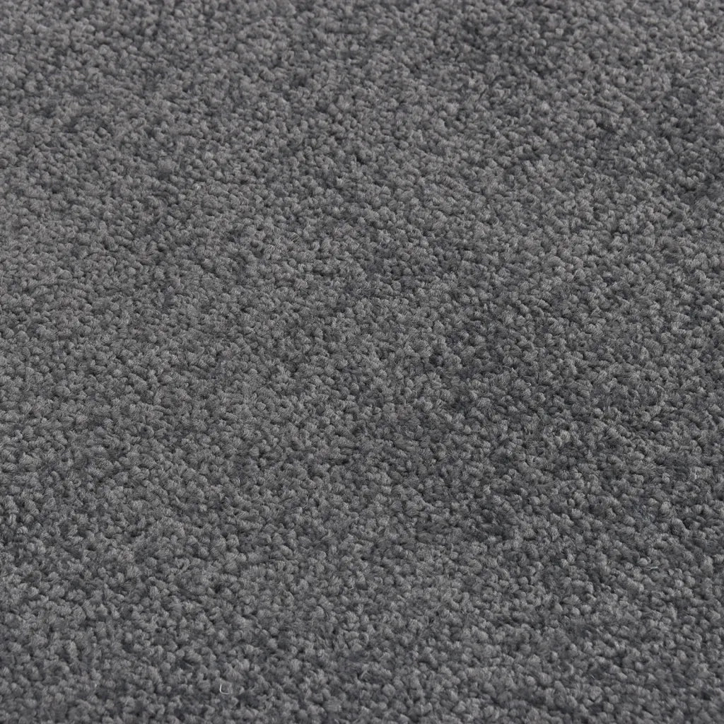 Zerbino Antracite 60x80 cm 331593