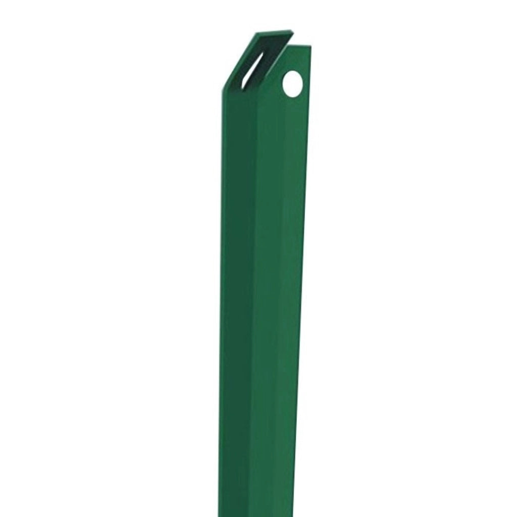 Paletto Plastificato Da 3 Mm 2,5 Cm Altezza 2 Metri Set 2 Pezzi - Biacchi Ettore