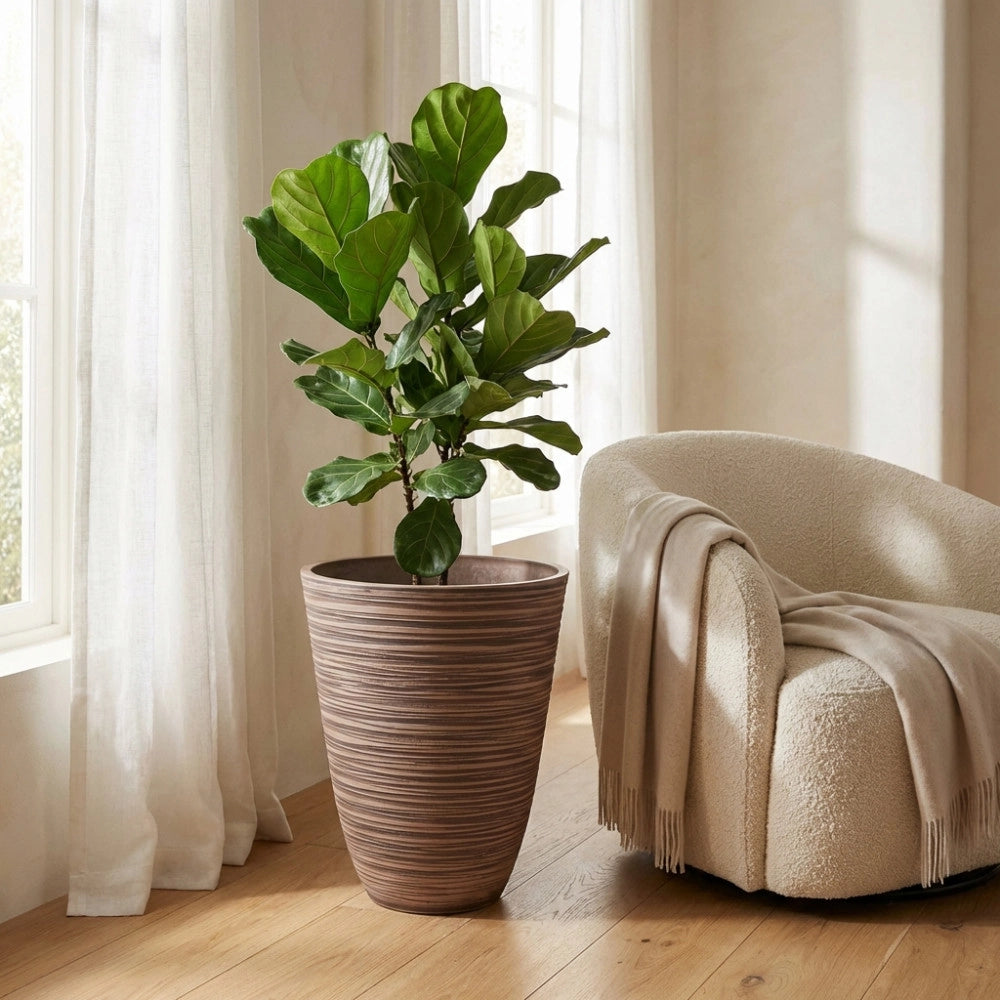 VASO GRANDE ANEMONE