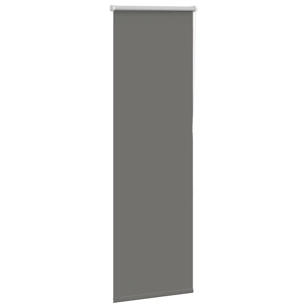 Tenda a Rullo Oscurante-Tenda da sole a rullo 60x130 cm Larghezza Tessuto 55,7 cm 558204