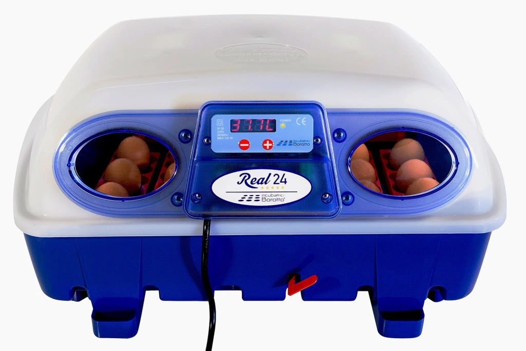 Incubatrice per Uova Semi Automatica Professionale Borotto Real 24