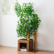Tiragraffi per gatti a forma di albero; 158 cm; 3 piattaforme; cuccia; MDF; verde