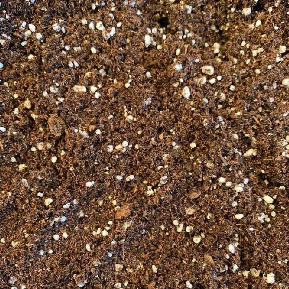 PERLITE ESPANSA agriperlite PER PIANTE vasi ASSORBE ACQUA 5lt VIGORPLANT