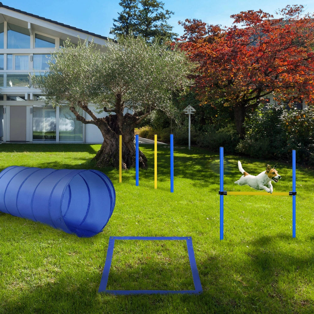 Set Agility per Cani con Tunnel e Stacchi ¨C Zephmum ¨C Blu