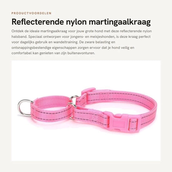 Collare per Cane con Cinturino Reflectante - Resistente allo Sfilamento - Adatto per Grandi Razze - Dimensione S (Giro Cervicale 30-45 cm) - Larghezza 1,5 cm
