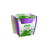 PLANTCUP TIMO