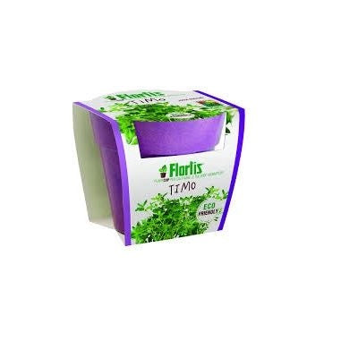 PLANTCUP TIMO